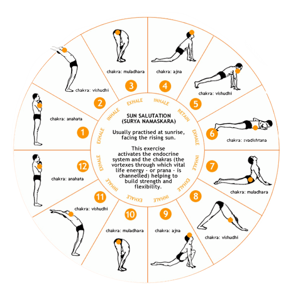Salutation Au Soleil SURYA NAMASKARA Ritama Yoga Cours De Yoga Salutation Au Soleil SURYA NAMASKARA Ritama Yoga Cours De Yoga